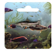 Piespraužamā nozīmīte Strauta forele Piespraužamā nozīmīte Strauta forele